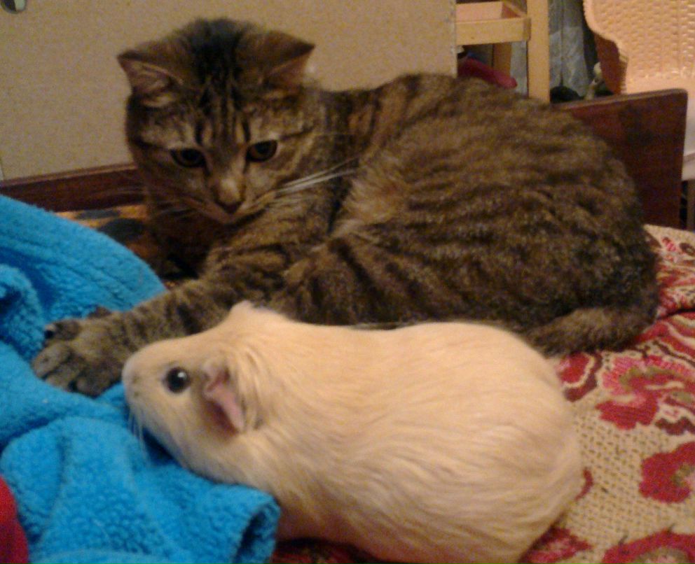 Лелька Яковлева | Москва