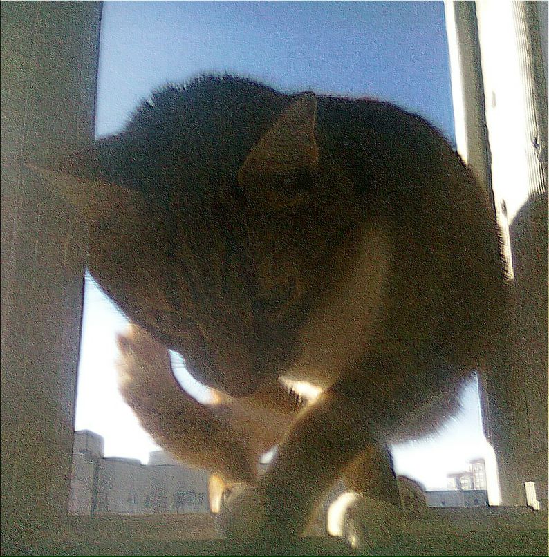 Alina Klymchyk | Киев