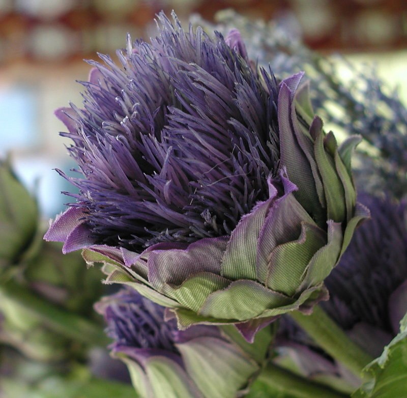 Таня Матвеева | 