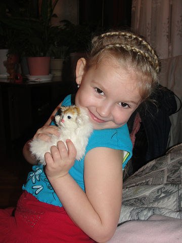 Владимир Игнашев | Вологда