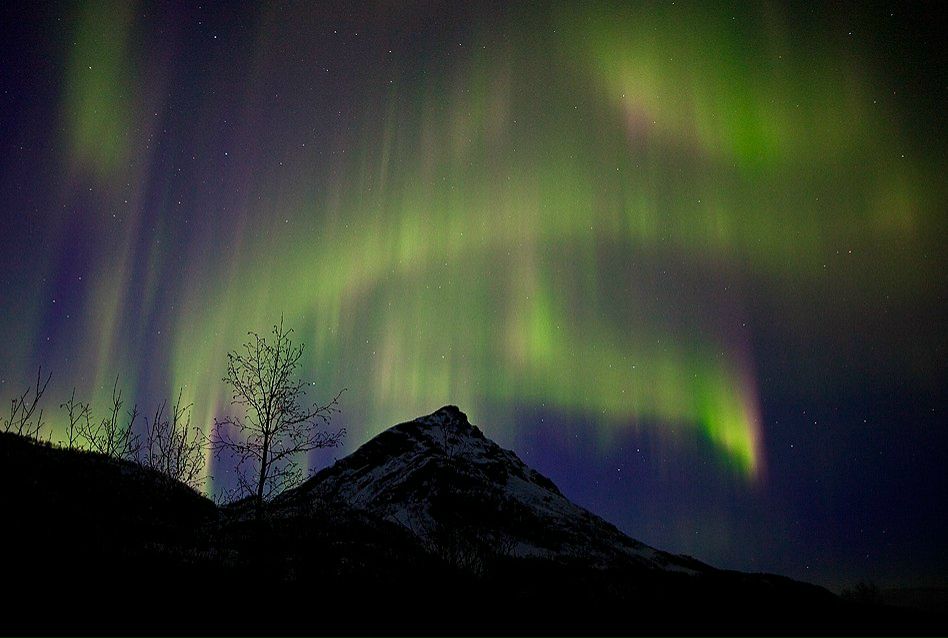 Ольга Лютенко Amazi | Харьков