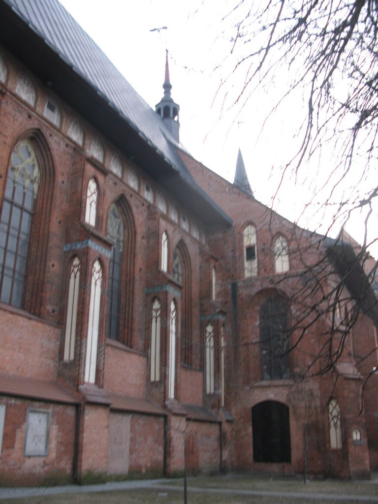 Елена Безлепкина | Санкт-Петербург