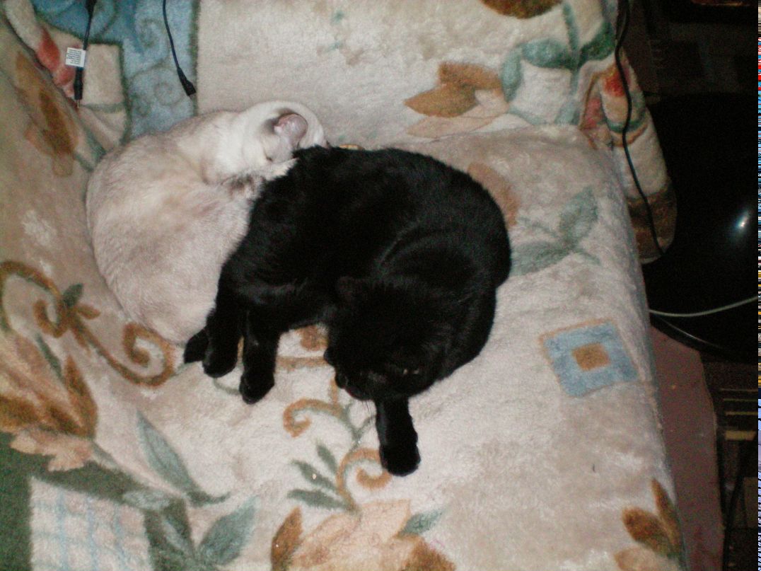 Олька Лавилина | Санкт-Петербург