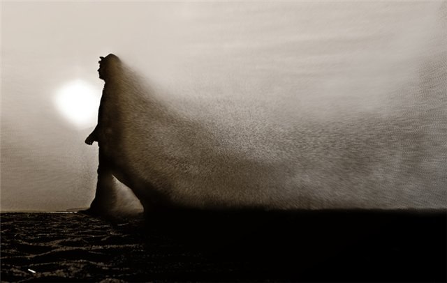 Дмитрий Щербаков | 