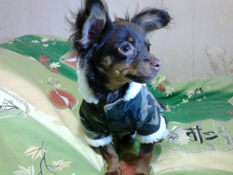 Ольга Коршунова СОЛНЫШКО | Выборг