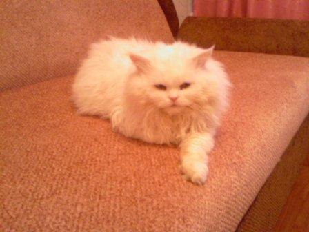 Ольга Рожкова | Стаханов