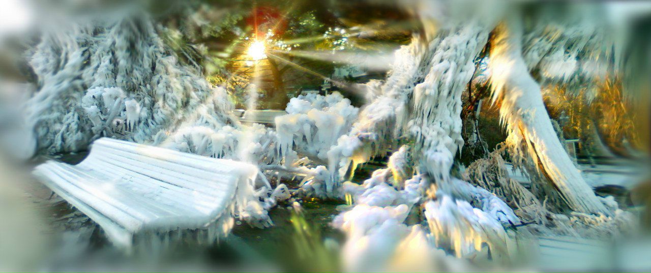 Евгений Нестеренко | Киев