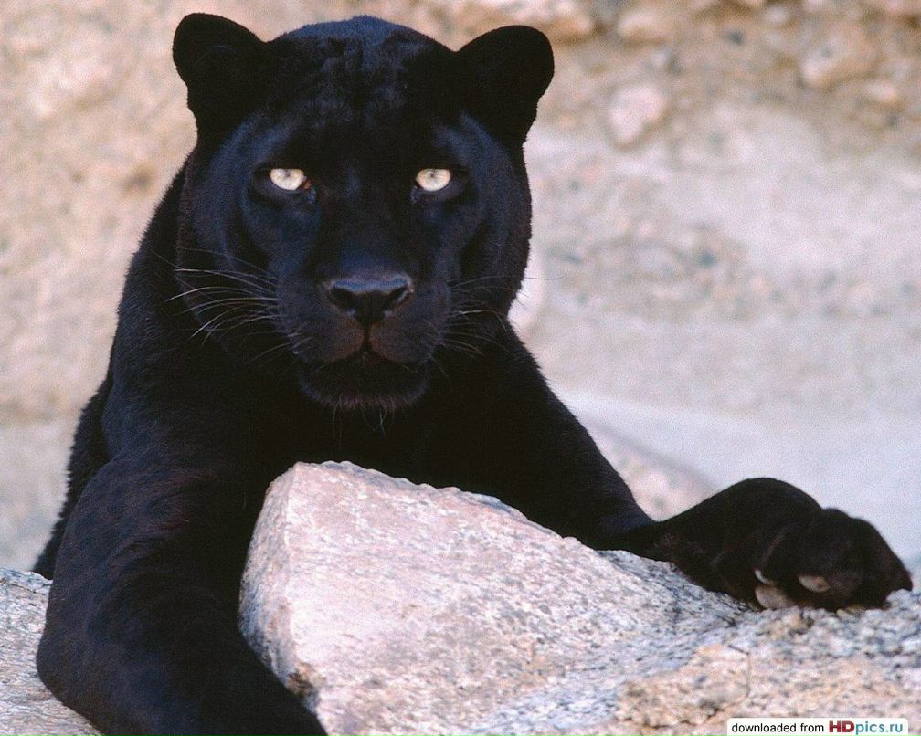 Людмила Аксаментова ~*♥*~ | Красноярск