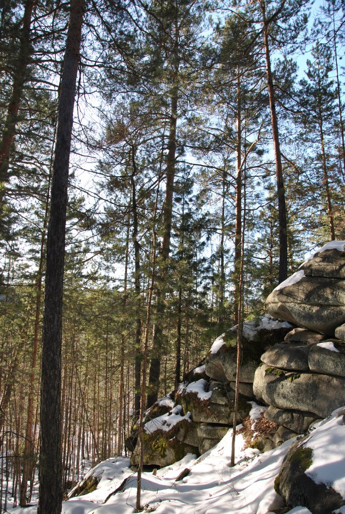 Олег Семенов | Екатеринбург