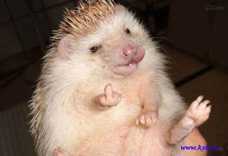 Юра Смак | Харьков