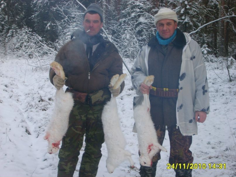 Александр Карасев | Вельск