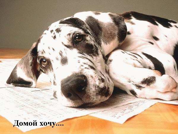 Владимир Тронов Stirlitz | Москва