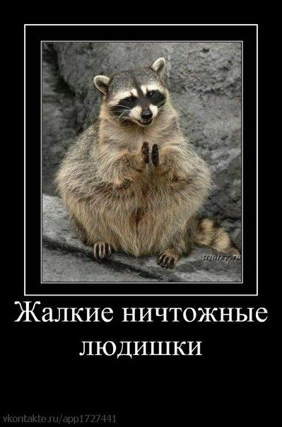 Ann Well =^-^= | Красноярск