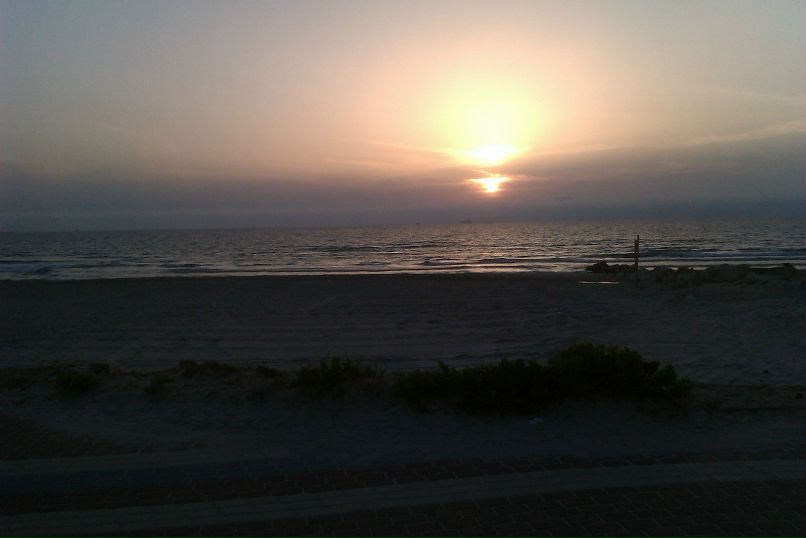 Александр Коник | Киев