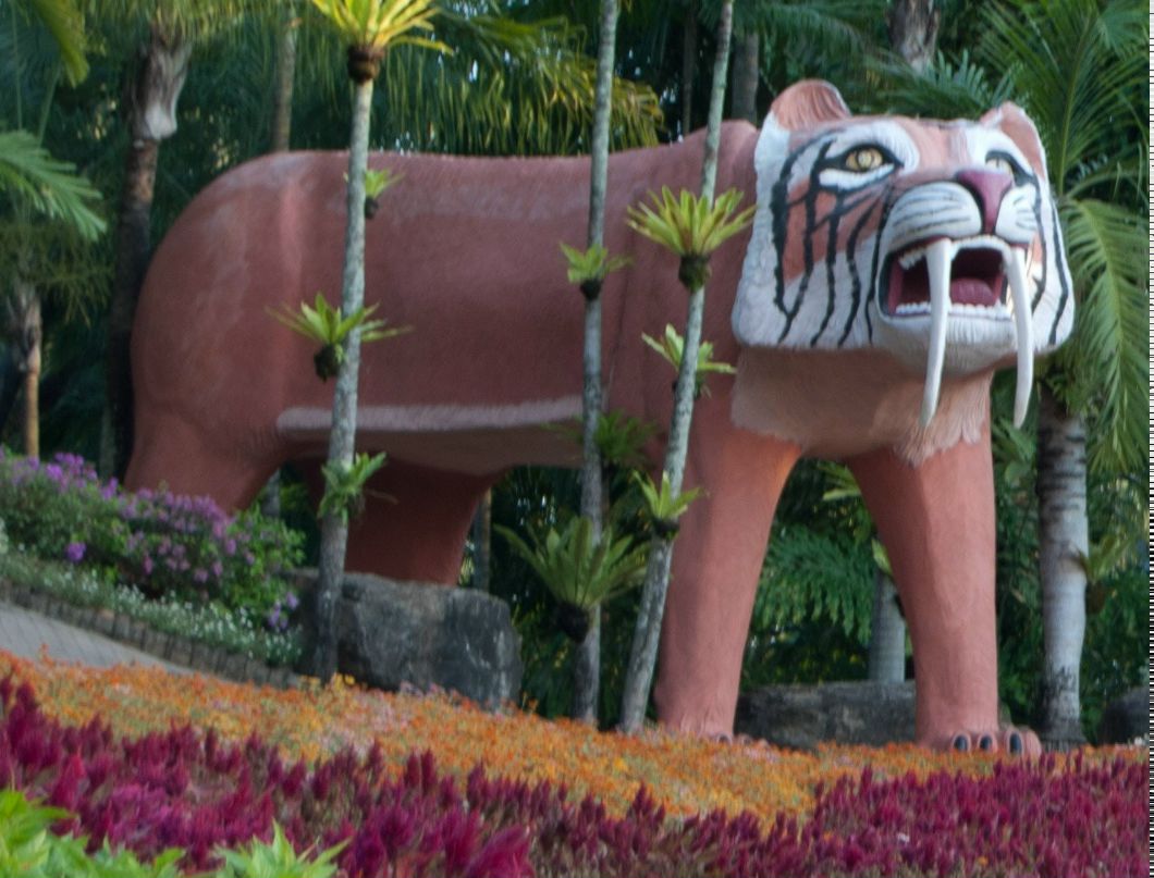 Илья Петухов | Санкт-Петербург