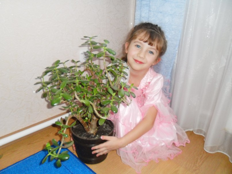 Жанна Гриц | 