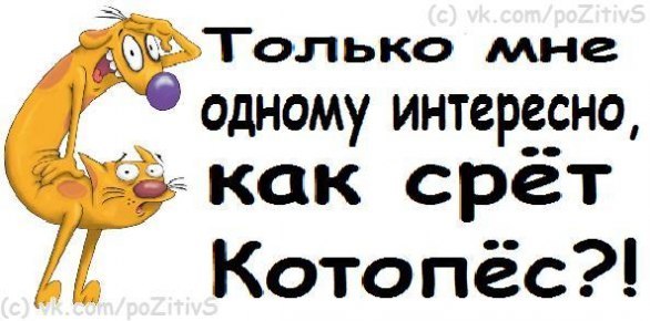 №173, Екатерина Ольховикова, 18.02, Лебяжье №173, Екатерина Ольховикова, 18.02, Лебяжье