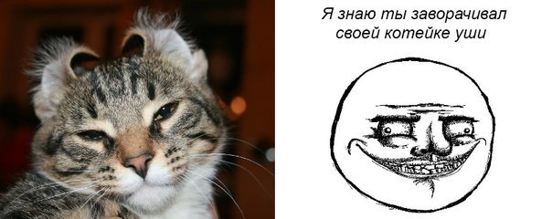 Наталья Силина | Москва