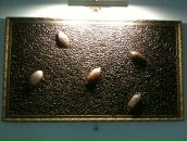 №6 Юлия Шарина 28.10: профиль, фото, статус - ВКонтакте