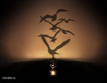 София Волк | Санкт-Петербург