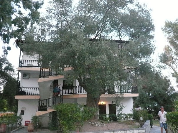 Греция  / Greece