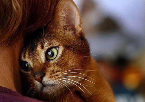 Оля Извекова | Минск