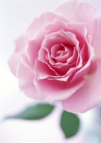 Марина Николаева | Липецк