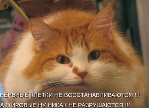 Наталья Кравчук | Санкт-Петербург