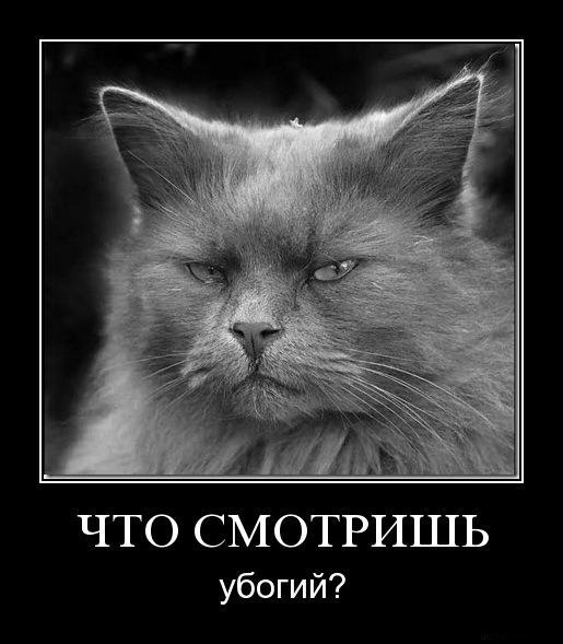 Виталя Глушков | Костанай