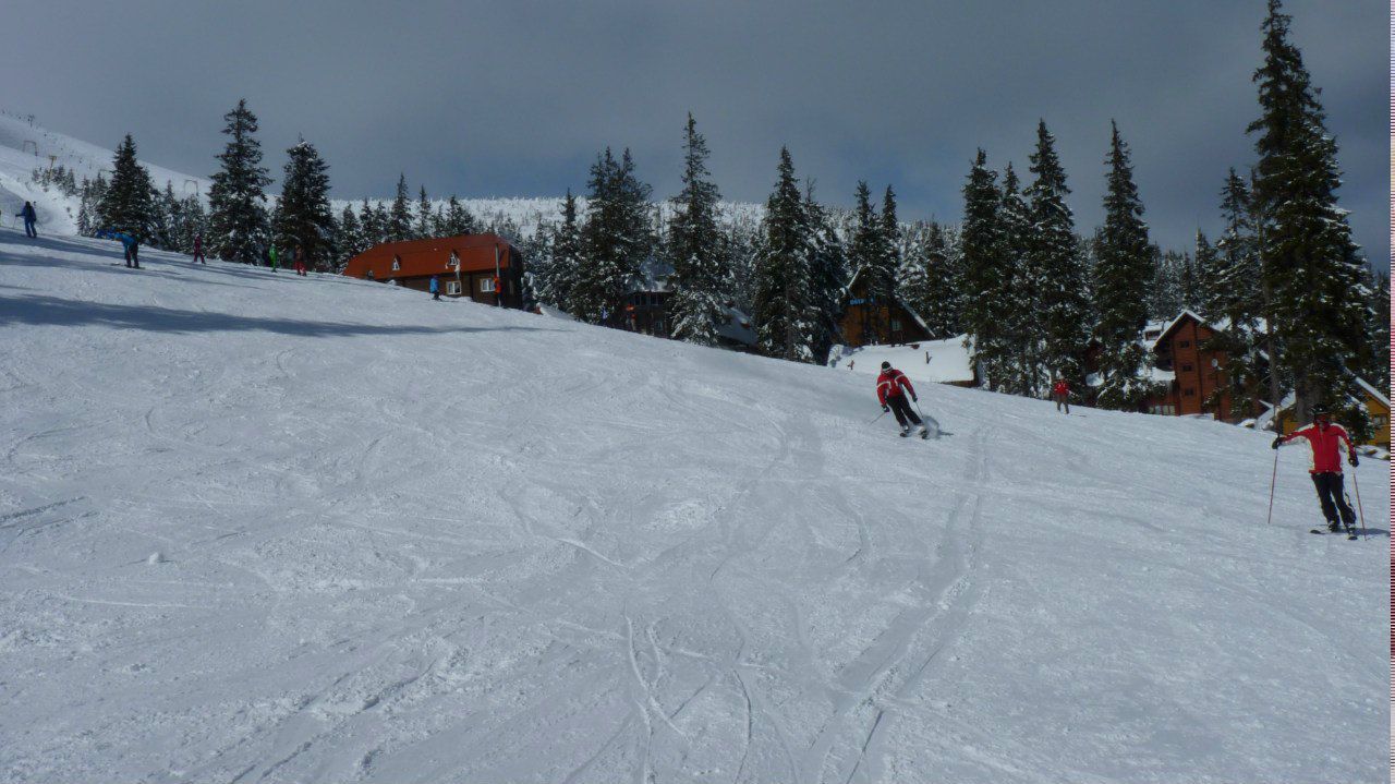 Николай Шевченко | Харьков