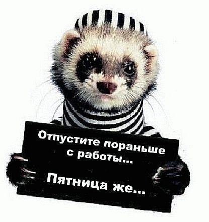 Олександр Пасіченко | Киев