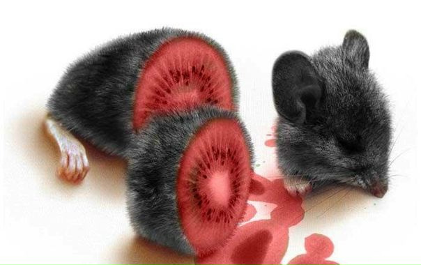 №77, Данил Кулагин №77, Данил Кулагин