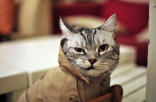 №115, Ольга Воронцова, Санкт-Петербург, Россия №115, Ольга Воронцова, Санкт-Петербург, Россия