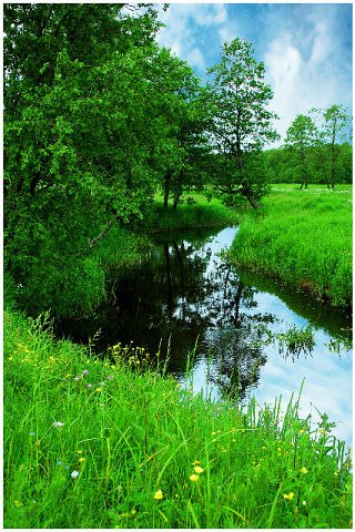 Олег Архипов | Москва