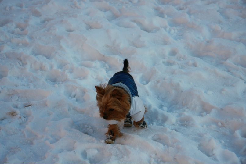 Олечка Титова princessa | Москва