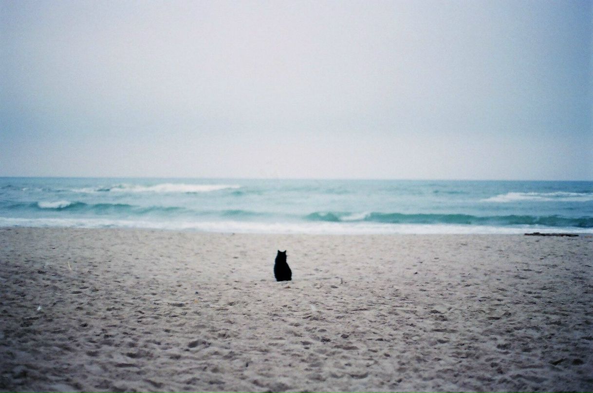 Юля Акулинина | Архангельск