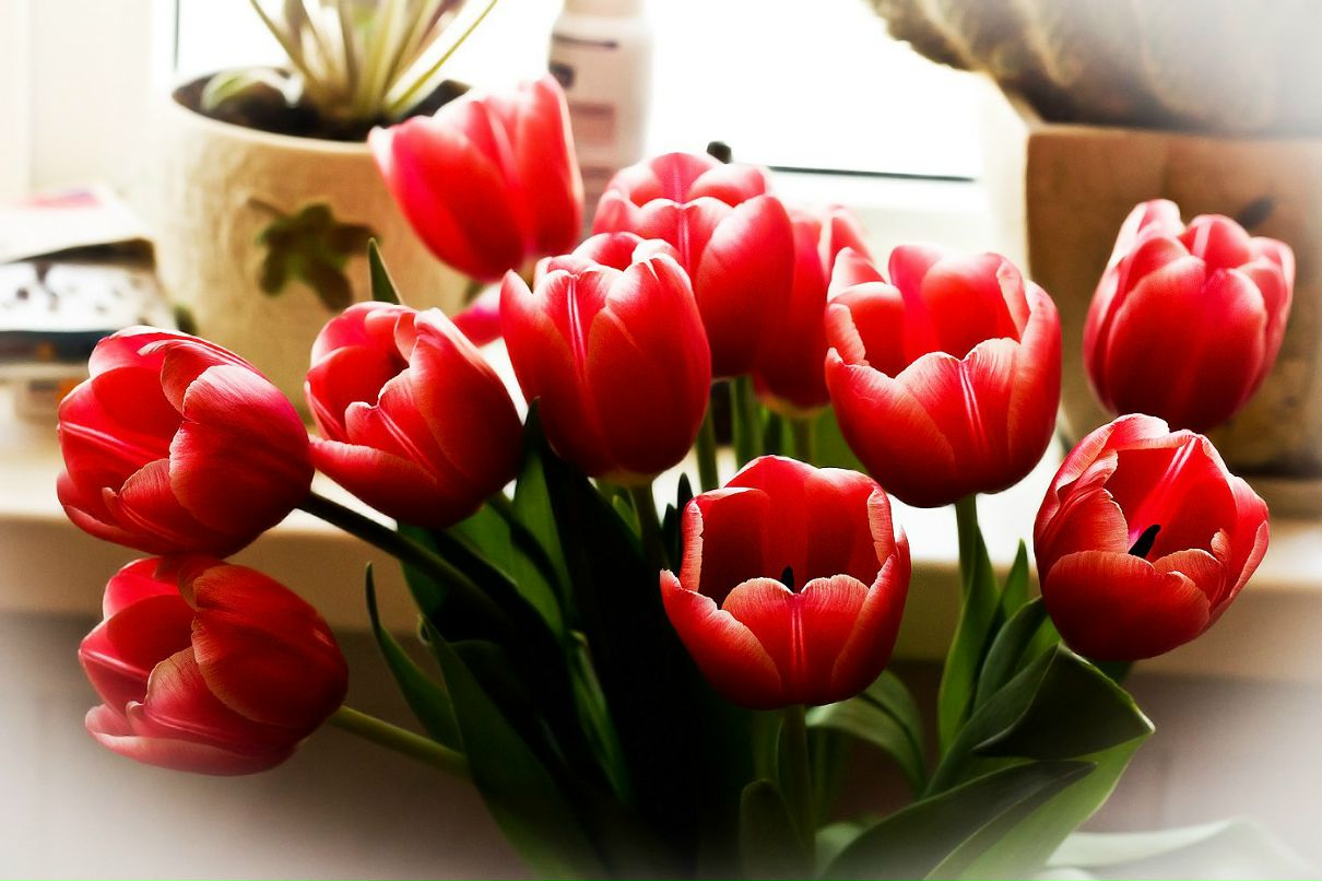 Анютка Лаужина | Санкт-Петербург