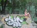 Маша Емельянова фотография #12 (источник - https://vk.com/id125451425)