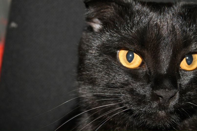 Алсу Юсупова | Bochum