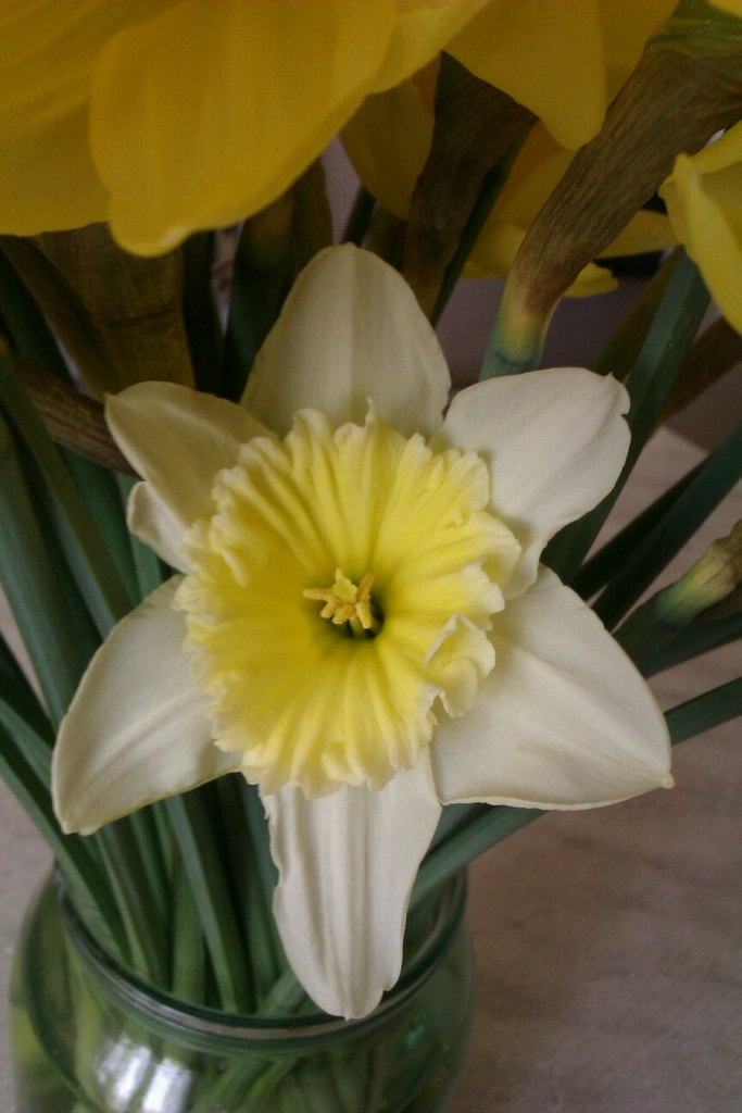 Юлия Морозова Викторовна | Волжский