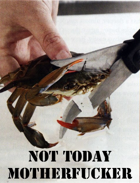 Алексей Касмынин | Москва