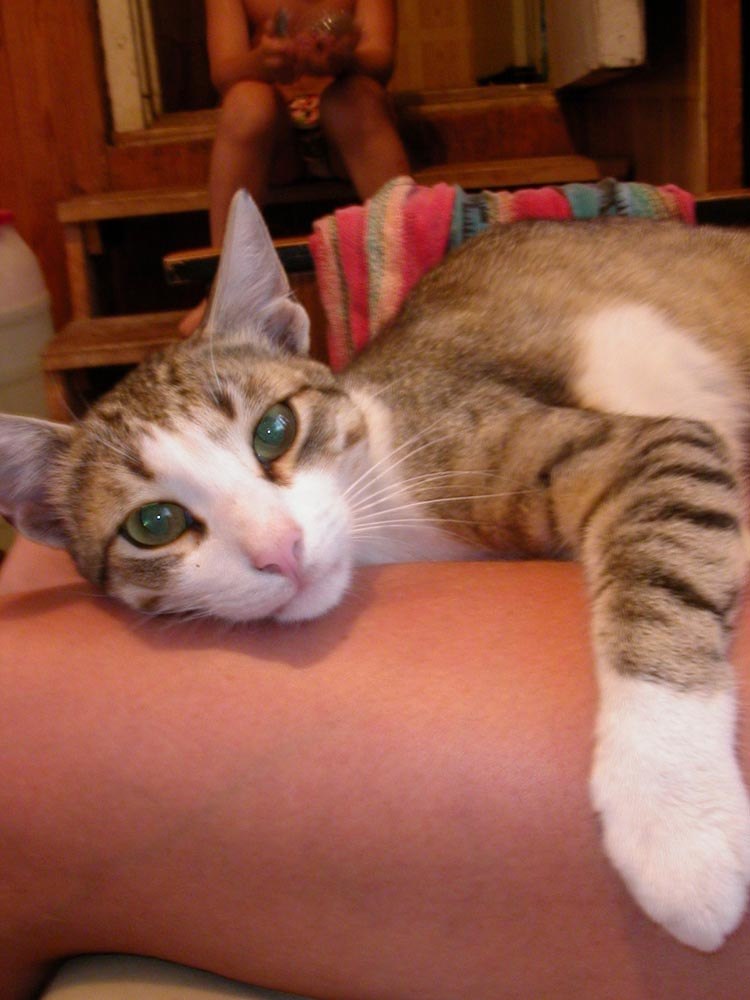 Александра Якушева | Тольятти