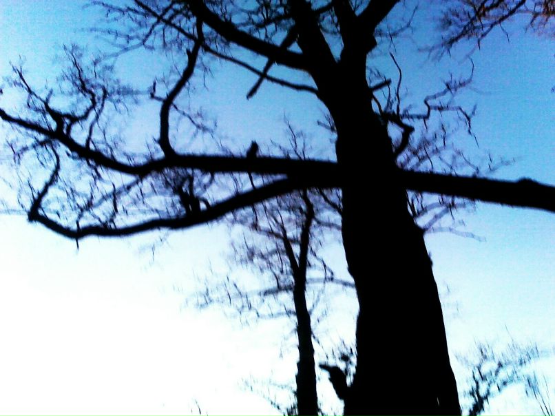 Виктория Дмитриева | Санкт-Петербург