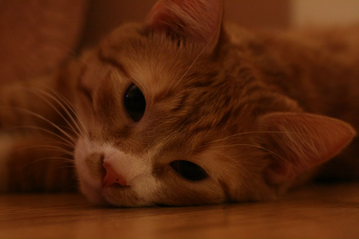 Инна Иванова | Киев