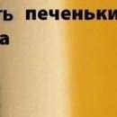 №6, Надежда Лесько, 34 года, Гомель, Беларусь №6, Надежда Лесько, 34 года, Гомель, Беларусь