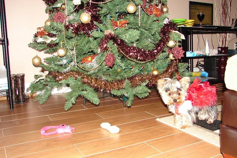 Элла Миненко | Киев