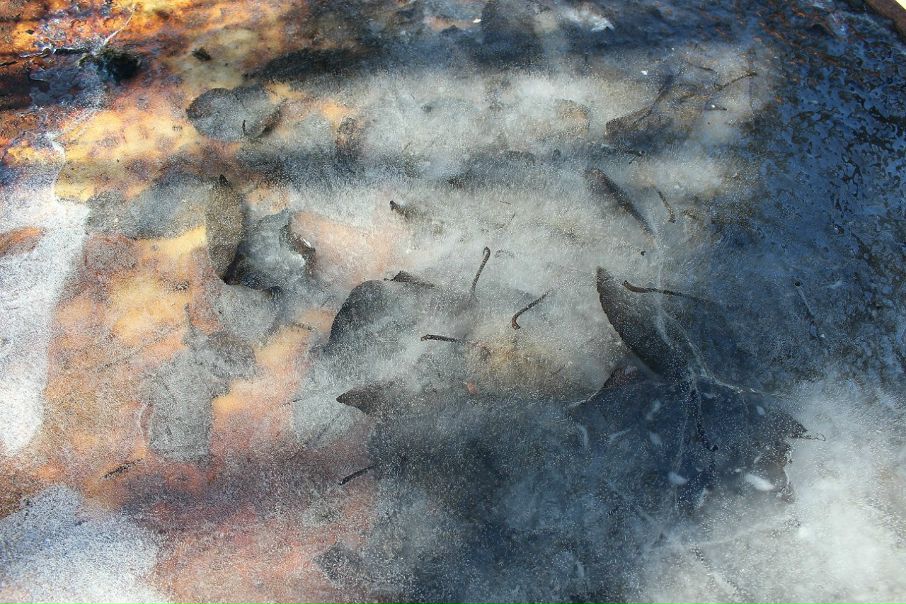 №92, Александр Золотайкин, Калуга №92, Александр Золотайкин, Калуга