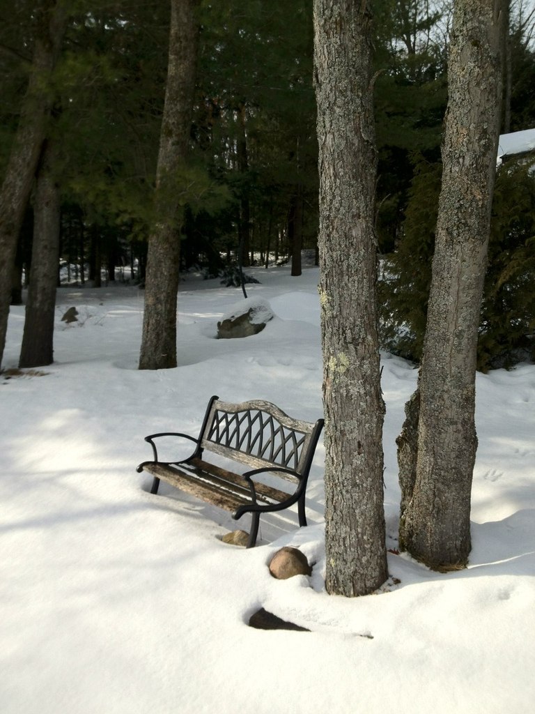 Иришка Малявская | Hamilton