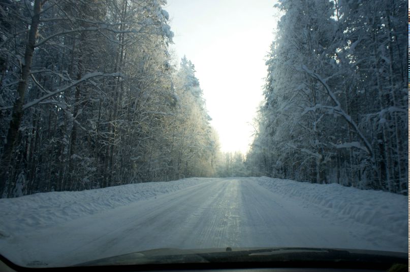 Алексей Тычков | Петрозаводск