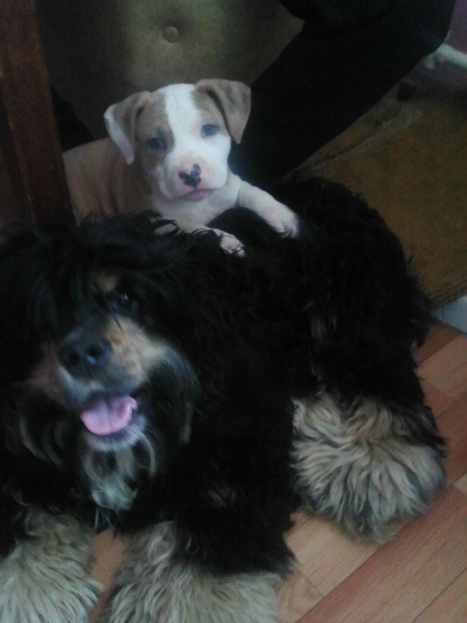 Михаил Королев 'солнца сын' | 